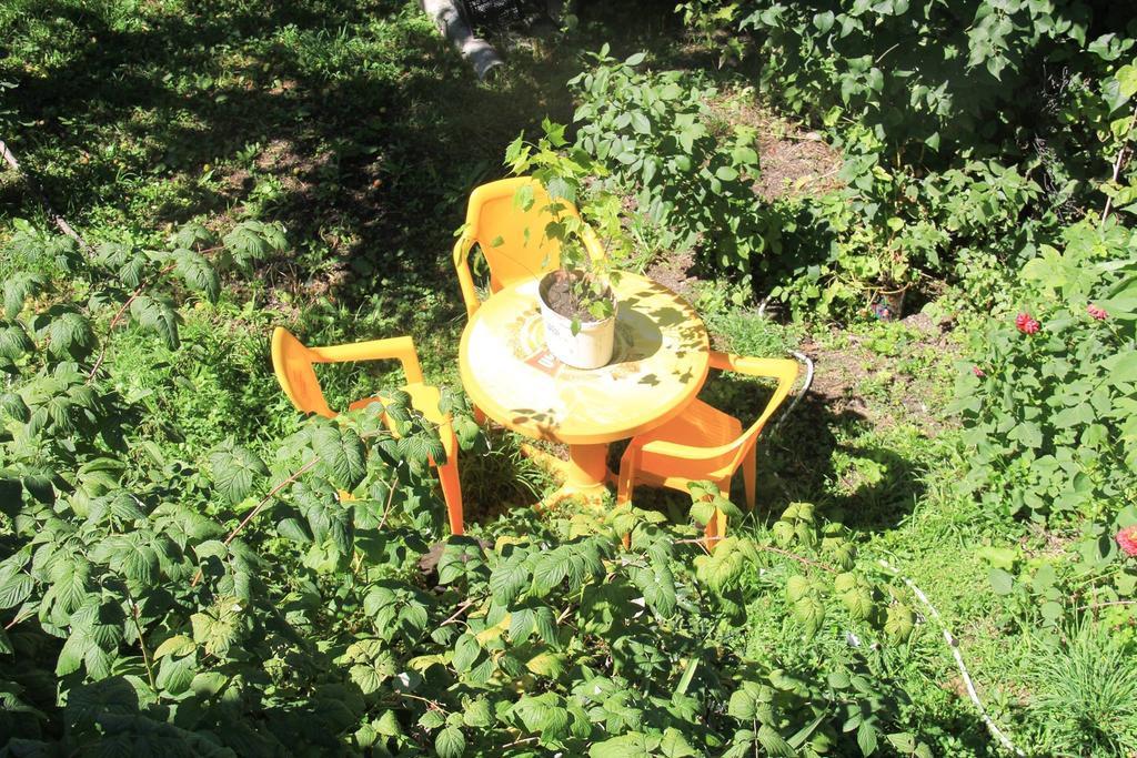 Dodo Japaridze Guesthouse 메스티아 외부 사진