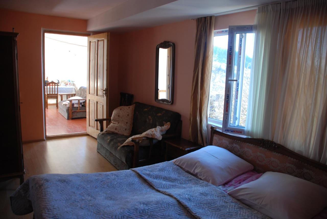 Dodo Japaridze Guesthouse 메스티아 외부 사진